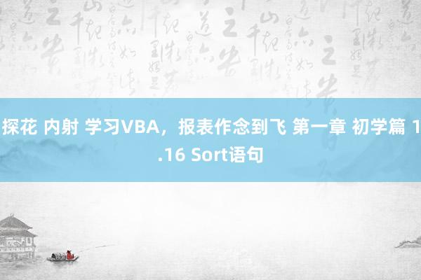 探花 内射 学习VBA，报表作念到飞 第一章 初学篇 1.16 Sort语句