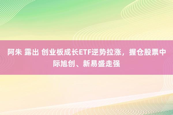 阿朱 露出 创业板成长ETF逆势拉涨，握仓股票中际旭创、新易盛走强