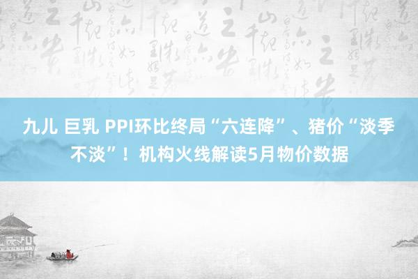 九儿 巨乳 PPI环比终局“六连降”、猪价“淡季不淡”！机构火线解读5月物价数据