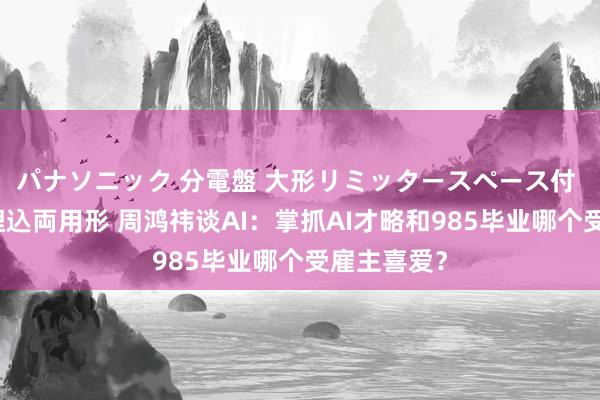 パナソニック 分電盤 大形リミッタースペース付 露出・半埋込両用形 周鸿祎谈AI：掌抓AI才略和985毕业哪个受雇主喜爱？