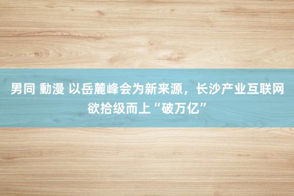 男同 動漫 以岳麓峰会为新来源，长沙产业互联网欲拾级而上“破万亿”