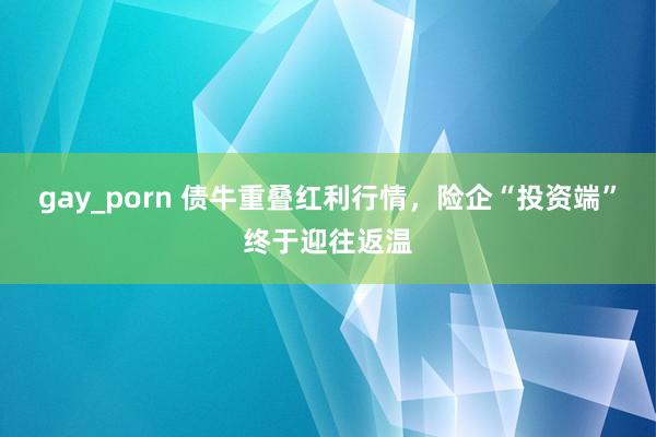 gay_porn 债牛重叠红利行情，险企“投资端”终于迎往返温