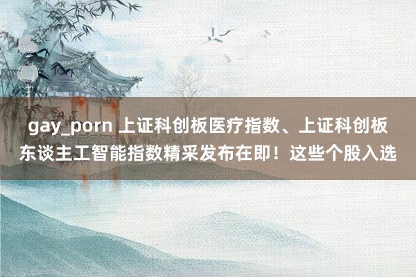 gay_porn 上证科创板医疗指数、上证科创板东谈主工智能指数精采发布在即！这些个股入选