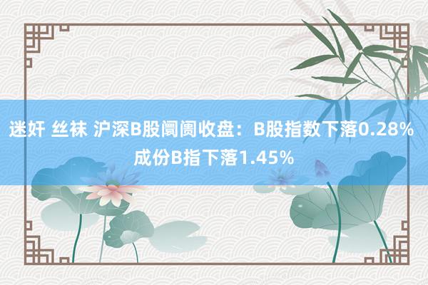 迷奸 丝袜 沪深B股阛阓收盘：B股指数下落0.28% 成份B指下落1.45%