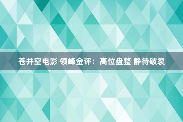 苍井空电影 领峰金评：高位盘整 静待破裂