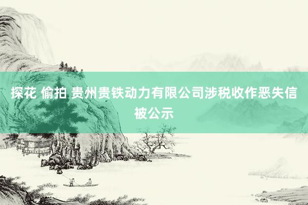 探花 偷拍 贵州贵铁动力有限公司涉税收作恶失信被公示