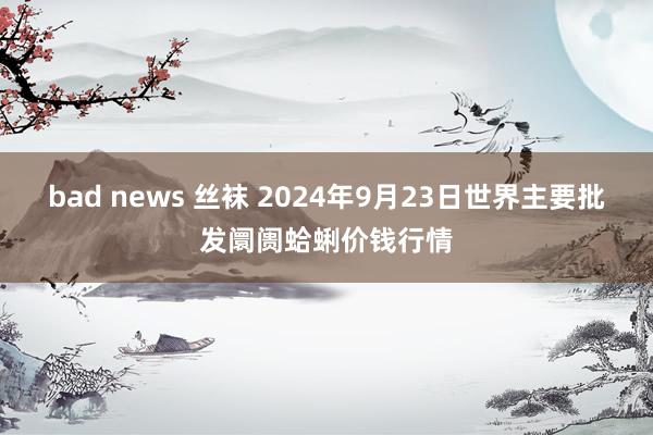 bad news 丝袜 2024年9月23日世界主要批发阛阓蛤蜊价钱行情