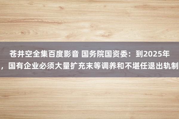 苍井空全集百度影音 国务院国资委：到2025年，国有企业必须大量扩充末等调养和不堪任退出轨制