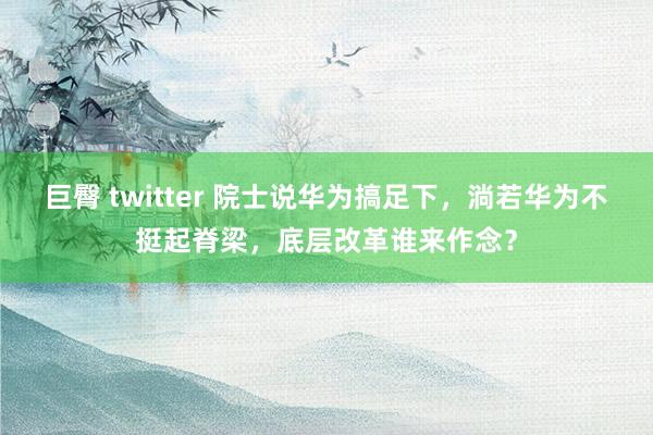 巨臀 twitter 院士说华为搞足下，淌若华为不挺起脊梁，底层改革谁来作念？