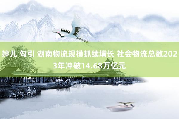 婷儿 勾引 湖南物流规模抓续增长 社会物流总数2023年冲破14.68万亿元