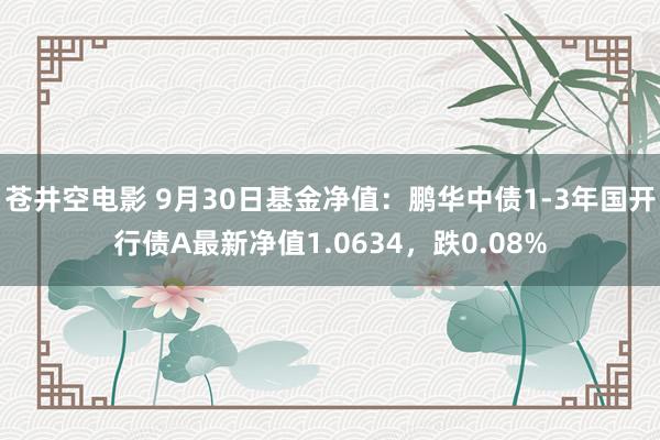 苍井空电影 9月30日基金净值：鹏华中债1-3年国开行债A最新净值1.0634，跌0.08%