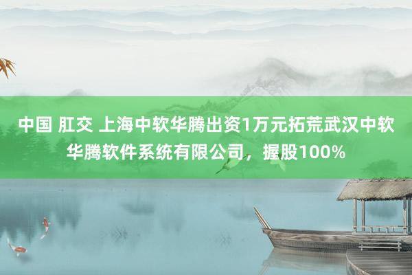 中国 肛交 上海中软华腾出资1万元拓荒武汉中软华腾软件系统有限公司，握股100%