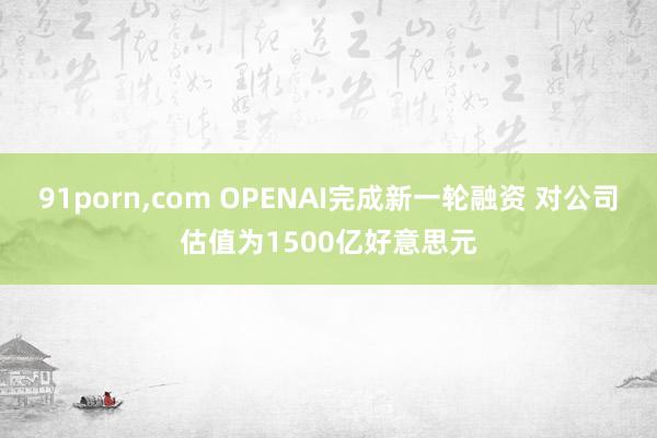 91porn，com OPENAI完成新一轮融资 对公司估值为1500亿好意思元