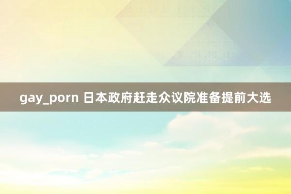 gay_porn 日本政府赶走众议院准备提前大选