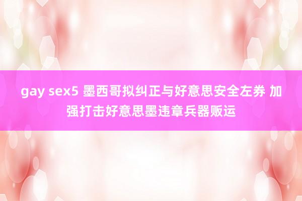 gay sex5 墨西哥拟纠正与好意思安全左券 加强打击好意思墨违章兵器贩运