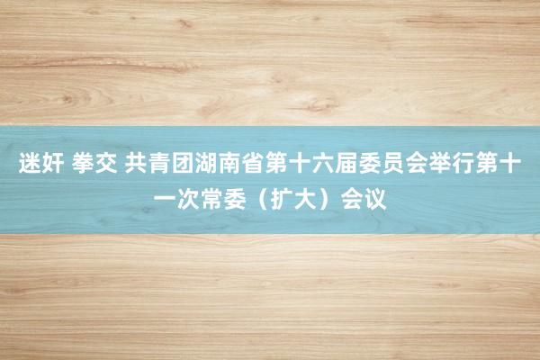 迷奸 拳交 共青团湖南省第十六届委员会举行第十一次常委（扩大）会议