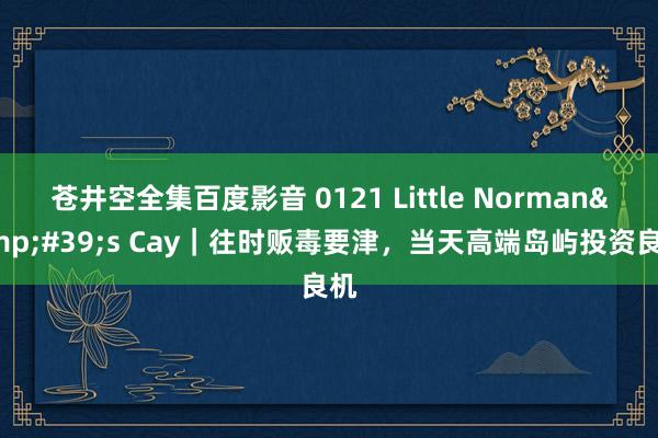 苍井空全集百度影音 0121 Little Norman&#39;s Cay｜往时贩毒要津，当天高端岛屿投资良机