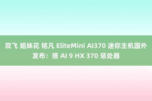 双飞 姐妹花 铭凡 EliteMini AI370 迷你主机国外发布：搭 AI 9 HX 370 惩处器