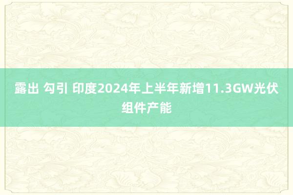 露出 勾引 印度2024年上半年新增11.3GW光伏组件产能