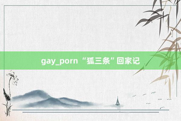 gay_porn “狐三条”回家记