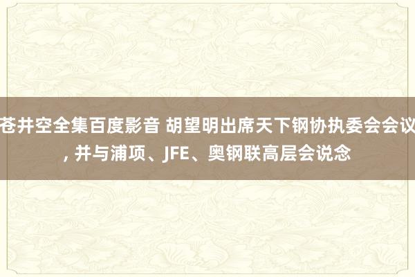 苍井空全集百度影音 胡望明出席天下钢协执委会会议， 并与浦项、JFE、奥钢联高层会说念