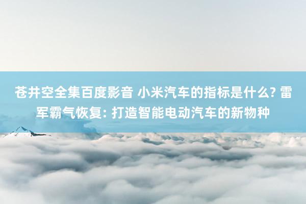 苍井空全集百度影音 小米汽车的指标是什么? 雷军霸气恢复: 打造智能电动汽车的新物种