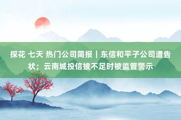 探花 七天 热门公司简报｜东信和平子公司遭告状；云南城投信披不足时被监管警示