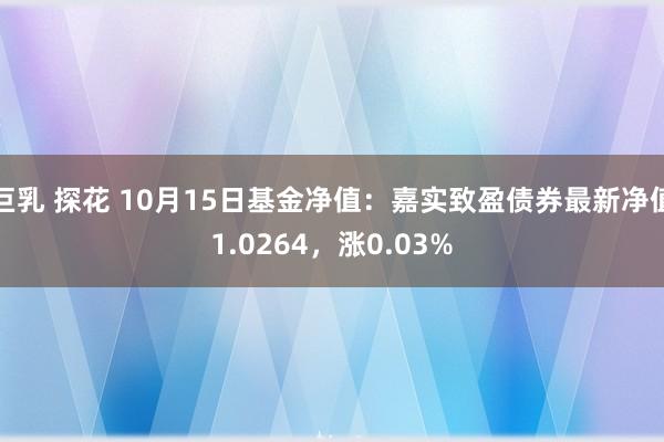 巨乳 探花 10月15日基金净值：嘉实致盈债券最新净值1.0264，涨0.03%