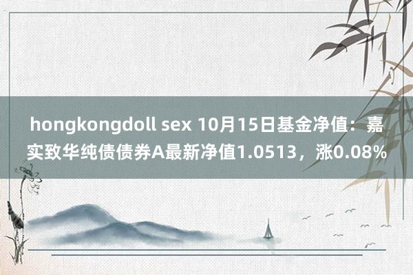 hongkongdoll sex 10月15日基金净值：嘉实致华纯债债券A最新净值1.0513，涨0.08%