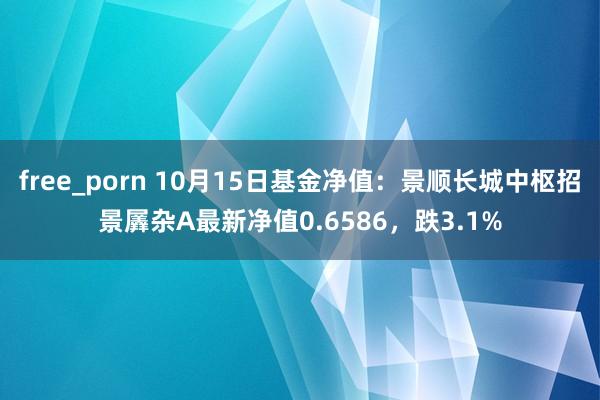 free_porn 10月15日基金净值：景顺长城中枢招景羼杂A最新净值0.6586，跌3.1%