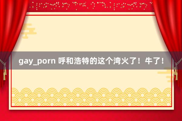 gay_porn 呼和浩特的这个湾火了！牛了！