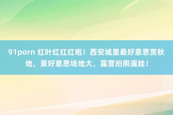 91porn 红叶红红红啦！西安城里最好意思赏秋地，景好意思场地大，露营拍照遛娃！