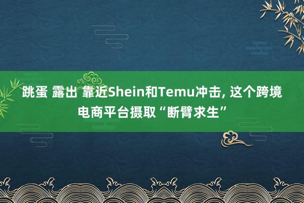 跳蛋 露出 靠近Shein和Temu冲击， 这个跨境电商平台摄取“断臂求生”