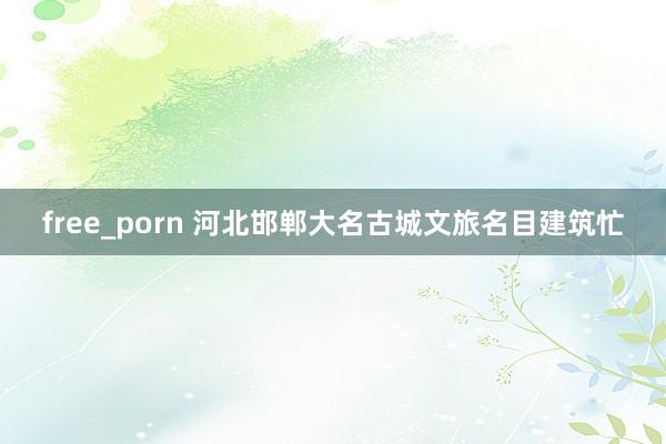 free_porn 河北邯郸大名古城文旅名目建筑忙