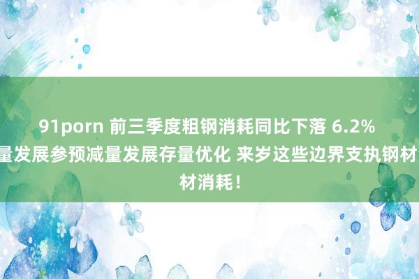 91porn 前三季度粗钢消耗同比下落 6.2% 从增量发展参预减量发展存量优化 来岁这些边界支执钢材消耗！