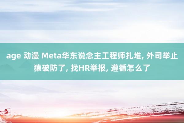 age 动漫 Meta华东说念主工程师扎堆， 外司举止猿破防了， 找HR举报， 遵循怎么了