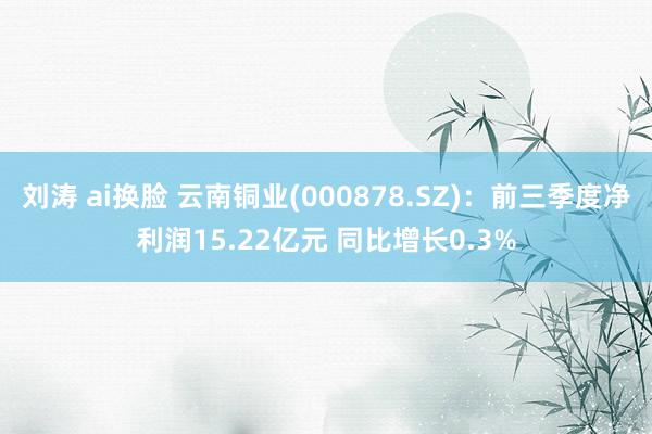 刘涛 ai换脸 云南铜业(000878.SZ)：前三季度净利润15.22亿元 同比增长0.3%