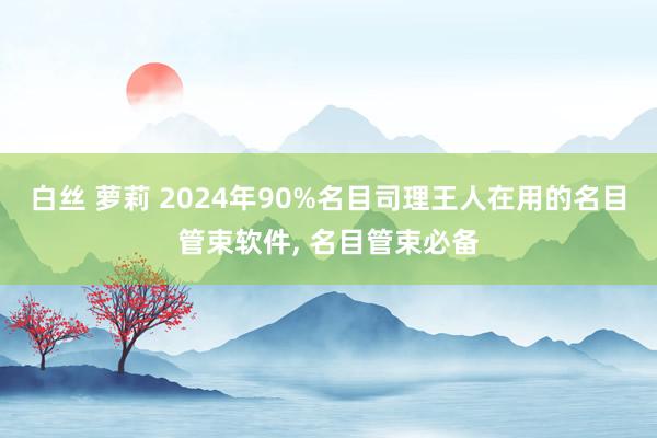 白丝 萝莉 2024年90%名目司理王人在用的名目管束软件， 名目管束必备