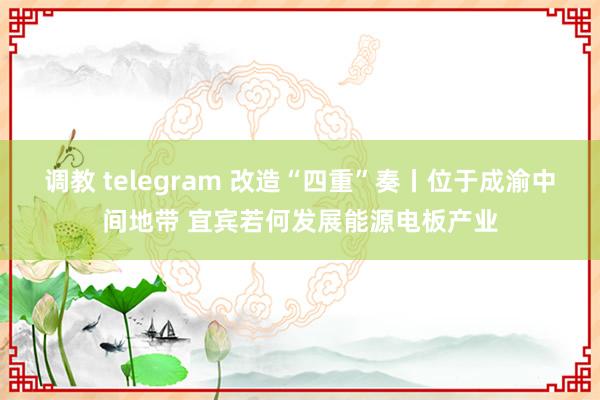 调教 telegram 改造“四重”奏丨位于成渝中间地带 宜宾若何发展能源电板产业