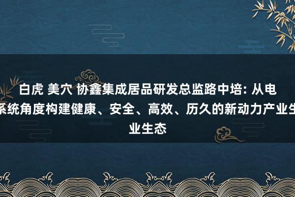 白虎 美穴 协鑫集成居品研发总监路中培: 从电力系统角度构建健康、安全、高效、历久的新动力产业生态