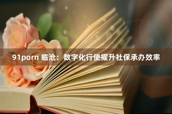 91porn 临沧：数字化行使擢升社保承办效率