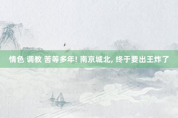 情色 调教 苦等多年! 南京城北， 终于要出王炸了