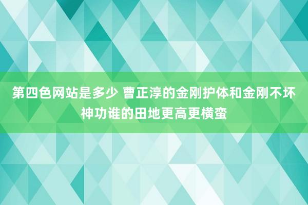 第四色网站是多少 曹正淳的金刚护体和金刚不坏神功谁的田地更高更横蛮