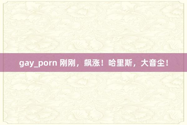 gay_porn 刚刚，飙涨！哈里斯，大音尘！