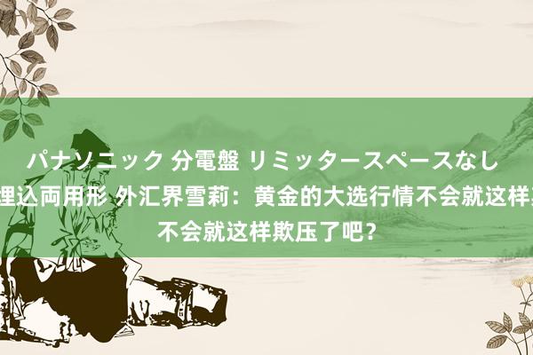 パナソニック 分電盤 リミッタースペースなし 露出・半埋込両用形 外汇界雪莉：黄金的大选行情不会就这样欺压了吧？