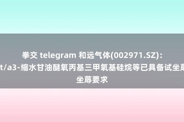 拳交 telegram 和远气体(002971.SZ)：3900t/a3-缩水甘油醚氧丙基三甲氧基硅烷等已具备试坐蓐要求