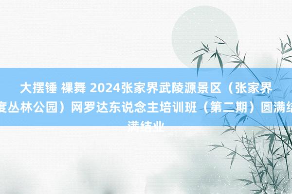 大摆锤 裸舞 2024张家界武陵源景区（张家界国度丛林公园）网罗达东说念主培训班（第二期）圆满结业