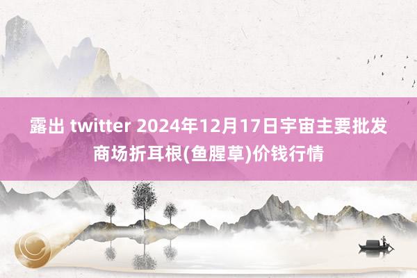 露出 twitter 2024年12月17日宇宙主要批发商场折耳根(鱼腥草)价钱行情