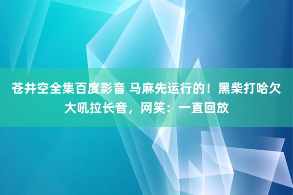 苍井空全集百度影音 马麻先运行的！黑柴打哈欠大吼拉长音，网笑：一直回放