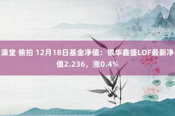 澡堂 偷拍 12月18日基金净值：银华鑫盛LOF最新净值2.236，涨0.4%